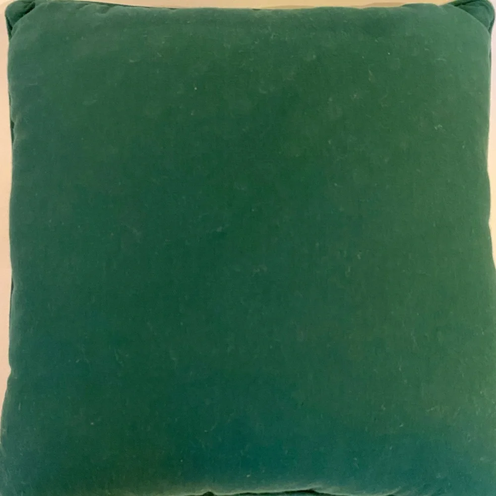 Christmas Pillow With Dog & Cat